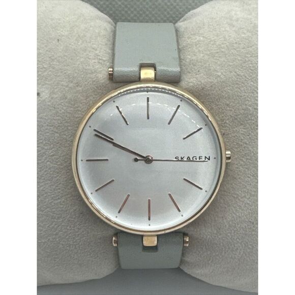Skagen Signatur SKW2710 Women Grey Leather Analog Dial Quartz Wrist Watch AEA247 main image 7